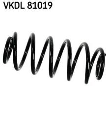 SKF VKDL 81019